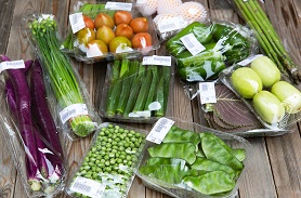 食品用氧化物阻隔塑料袋检测