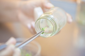 奧斯陸莫拉菌殺滅試驗怎么做?完整流程詳解