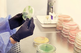 發用產品強韌功效評價測試