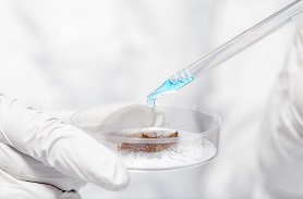 化妝品美白功效宣稱