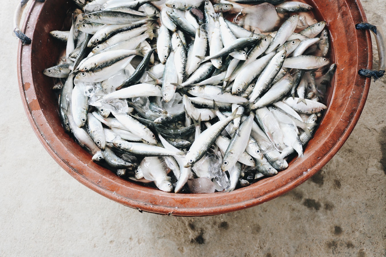 从新鲜的鱼到绿色鱼类休闲食品，要经过多少道标准的考核？