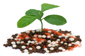 含肥效保持剂复合肥料检测