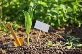 土壤养分检测