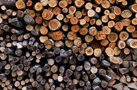 木材质量鉴定
