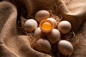 雞蛋檢測