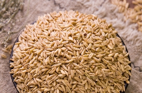 米糠检测