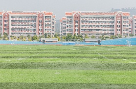 足球场人造草面层检测