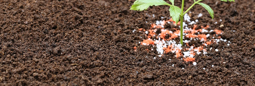 含肥效保持剂肥料检测