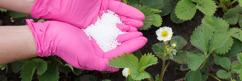 含肥效保持剂复合肥料检测